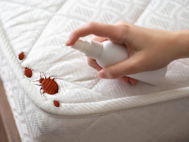 Best Flea Control Services  in Campton Hls, IL